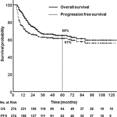 Frontiers | Postoperative Concurrent Chemoradiotherapy Versus ...